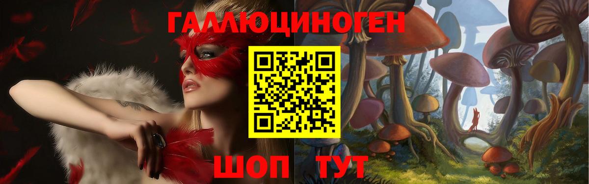 Дедовск  Галлюциногенные грибы Cubensis  Вход с VPN 